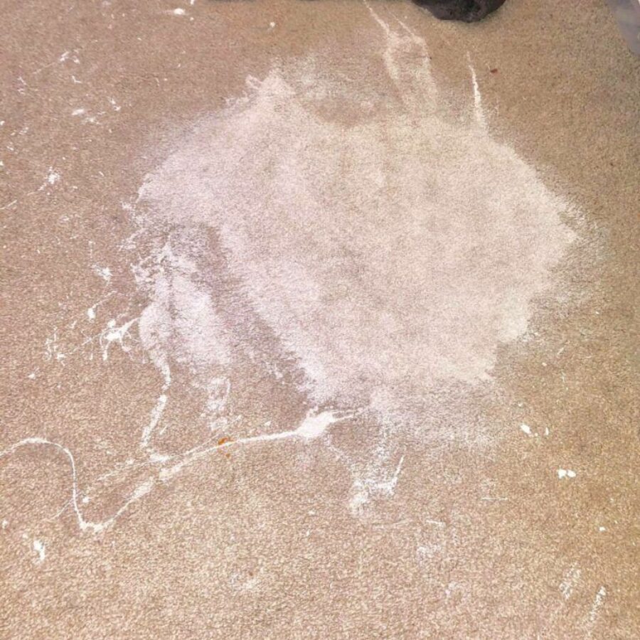 Photo Gallery Dailey's Carpet Cleaning