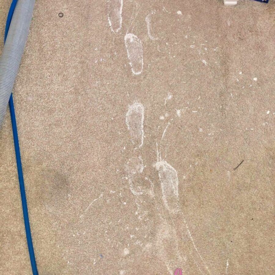 Photo Gallery Dailey's Carpet Cleaning